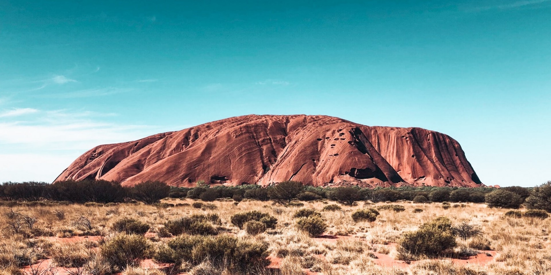 Why Indigenous Healers Need To Be Recognised As Legitimate Health Practitioners