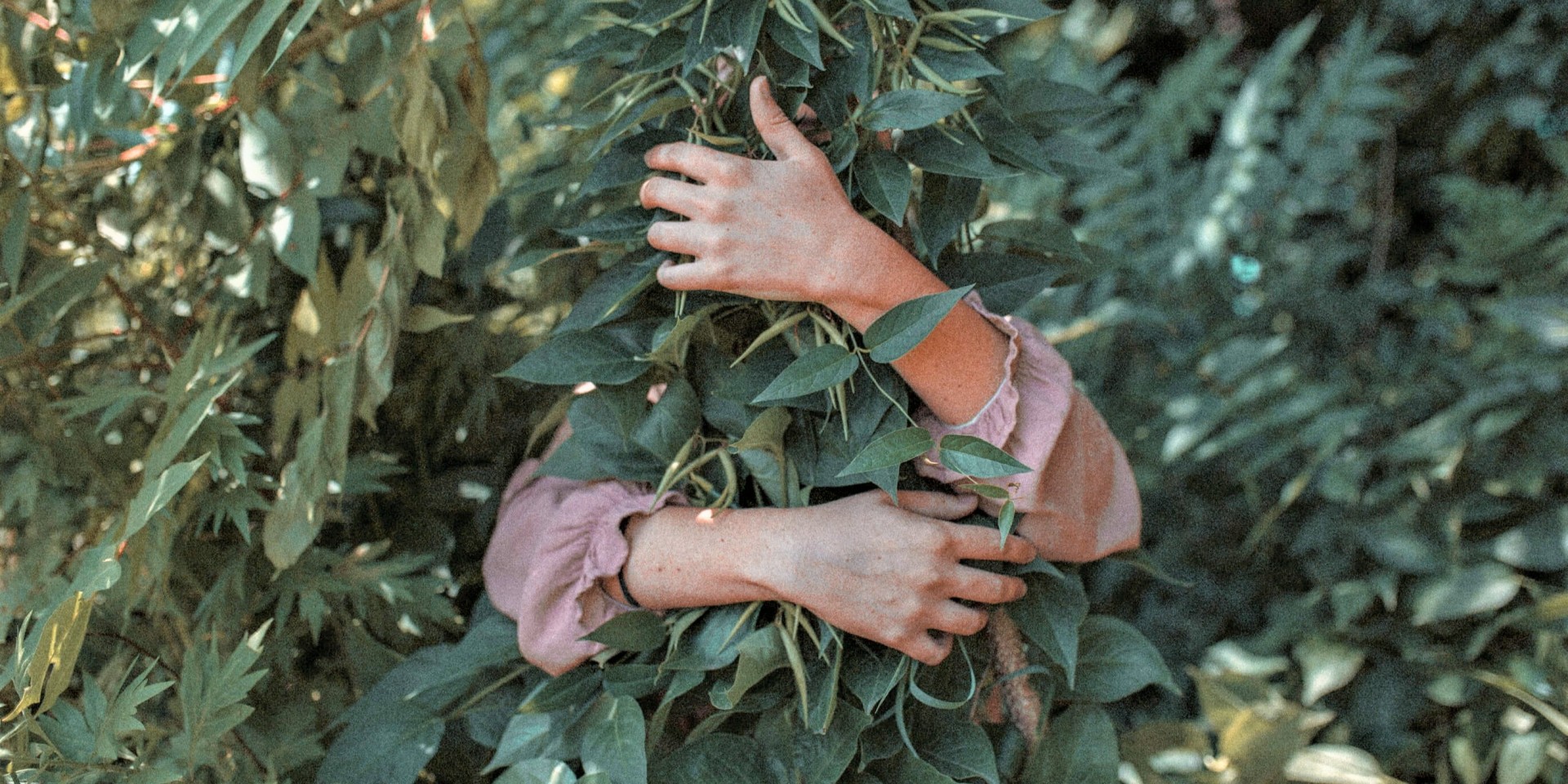 Gardening For Wellness