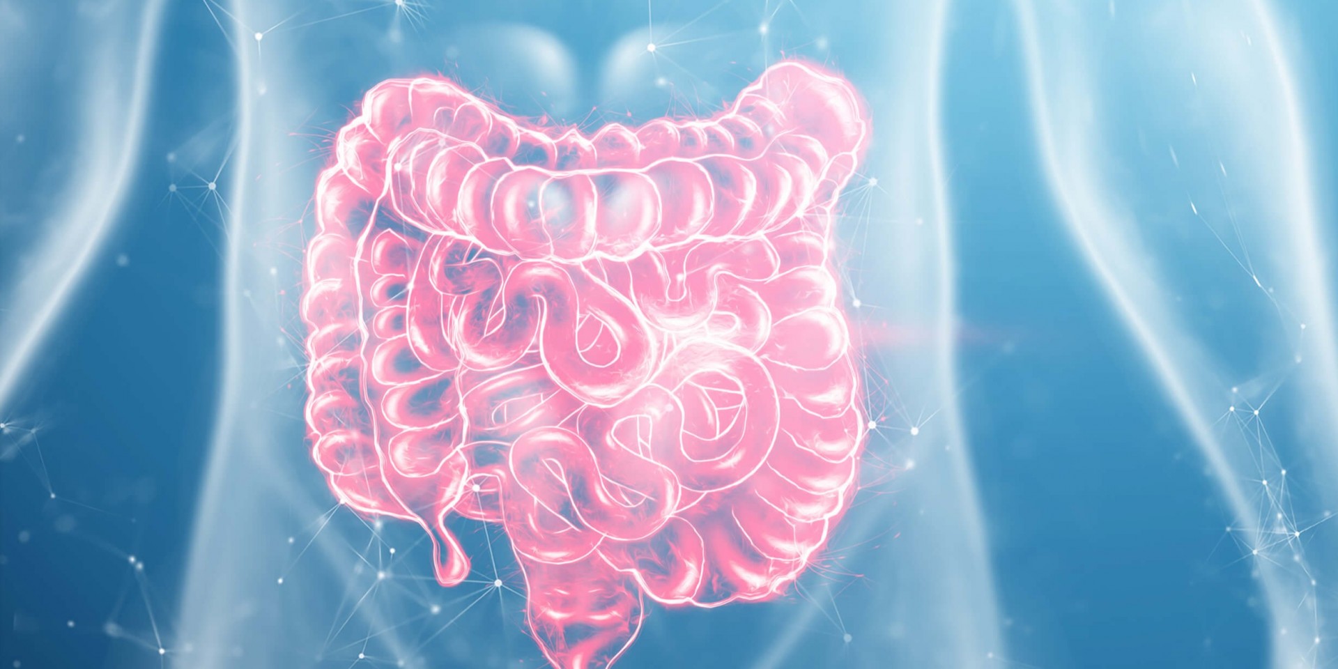 Leaky Gut: The High Impact Gut Problem With A Low Profile - PART 3