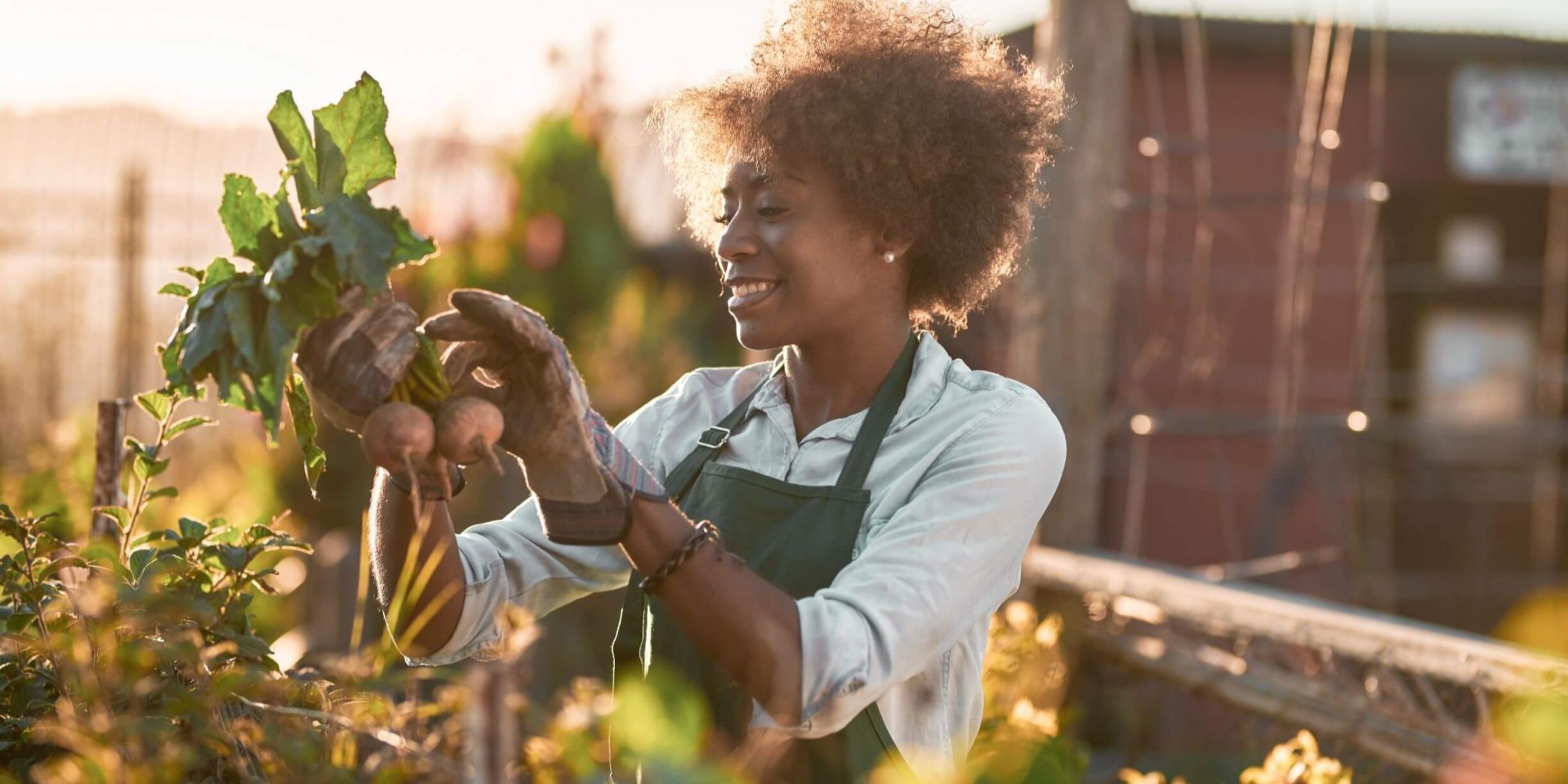 Gardening With A Purpose – How Therapeutic Spaces Enhance Wellbeing