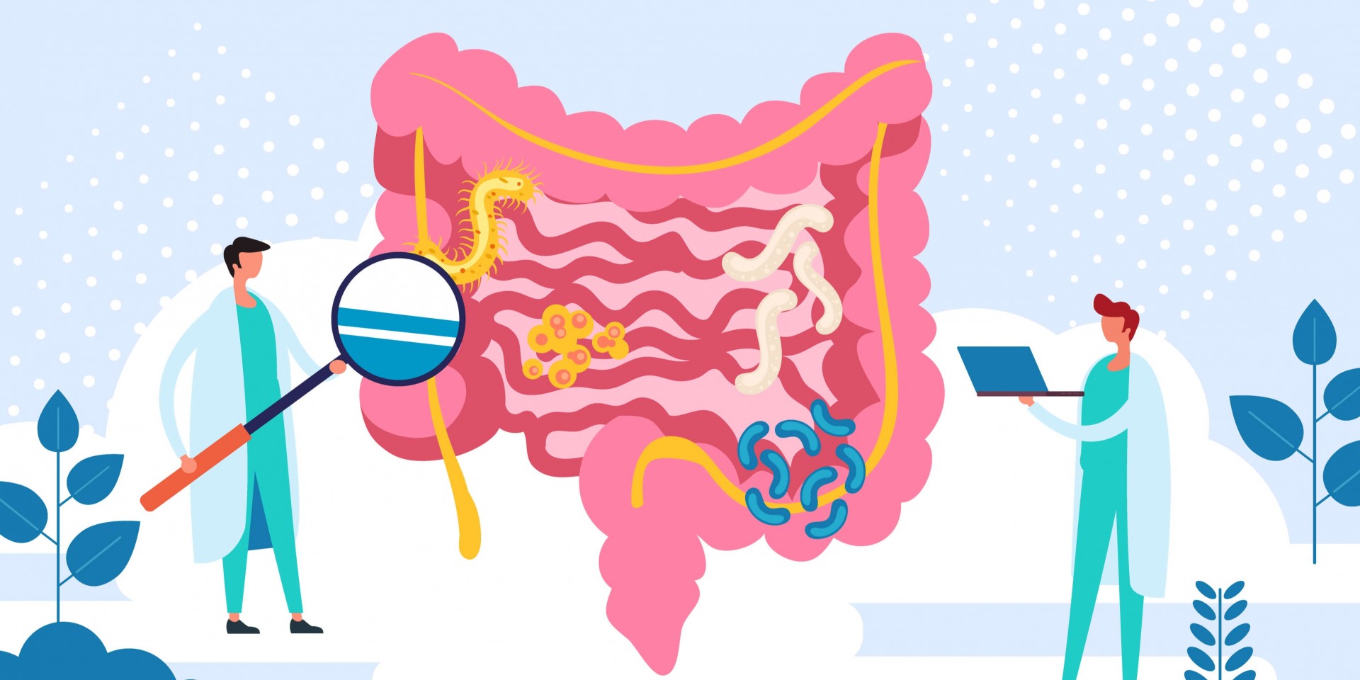 SIBO: The High Impact Gut Problem With A Low Profile - PART 1