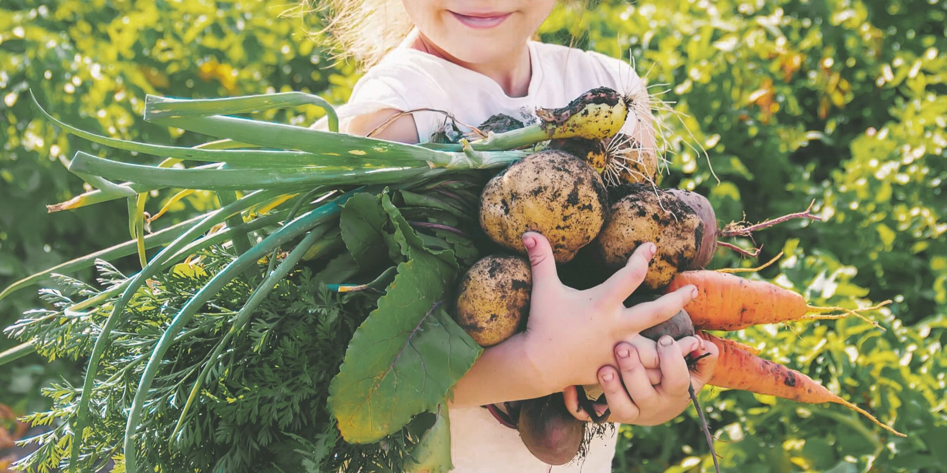 Sustainability In Your Own Backyard