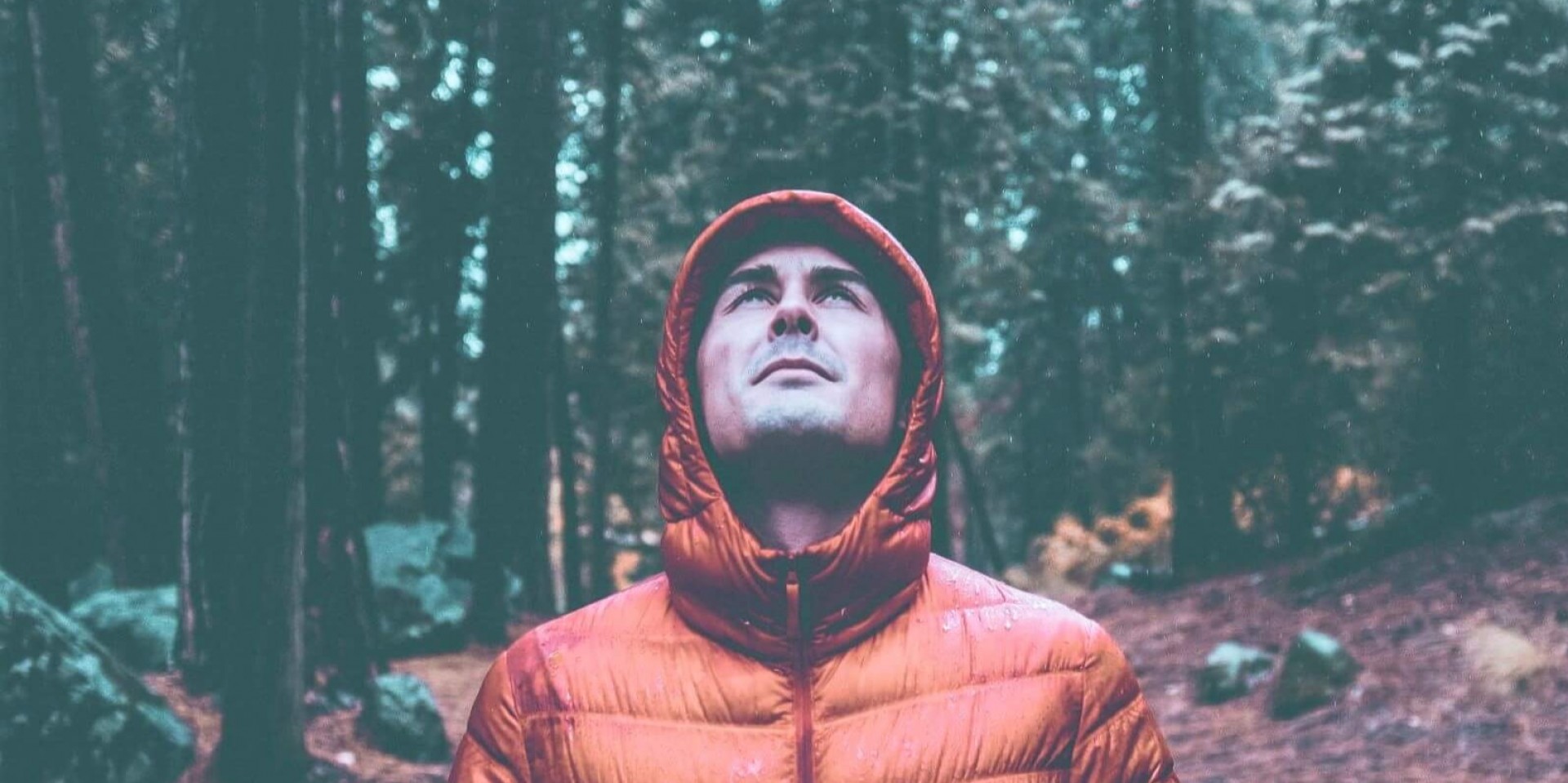 Going Outside To Heal The Inside: Nature As A New Tool For Psychologists