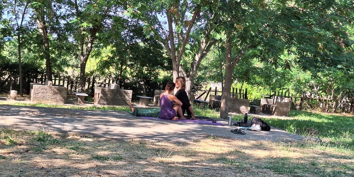 Discovery call session