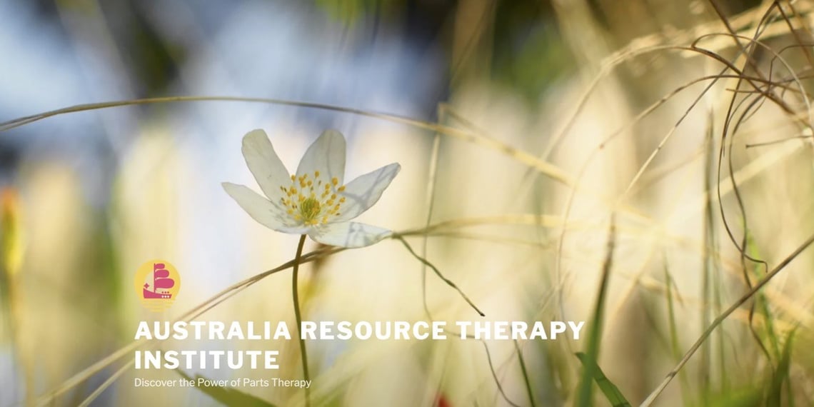 Discovery call session