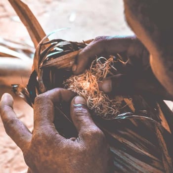 Traditional Aboriginal healers