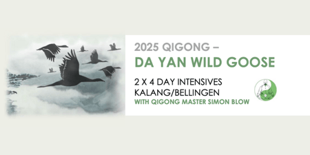 2025 Da Yan - Wild Goose Qigong Program