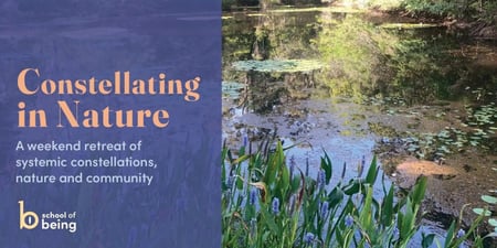 Constellating in Nature : A Weekend Retreat