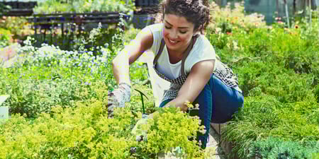 Creating A Kitchen Garden