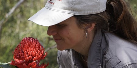 Discovery call session