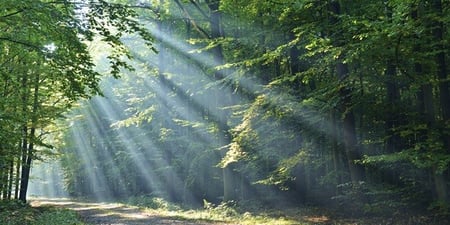 Discovery call session