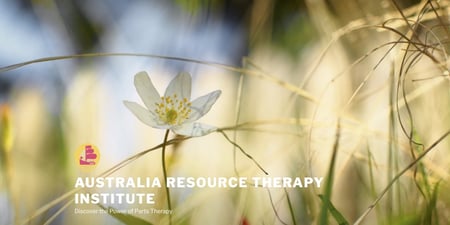 Discovery call session