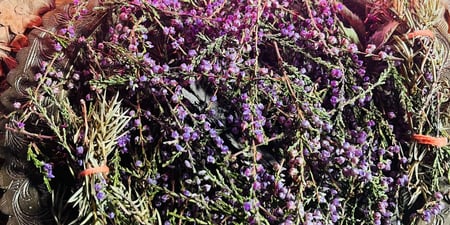 Discovery call session