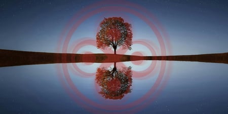 CLEARING NARCISSISTIC ABUSE 🌍 Remote Sessions Worldwide