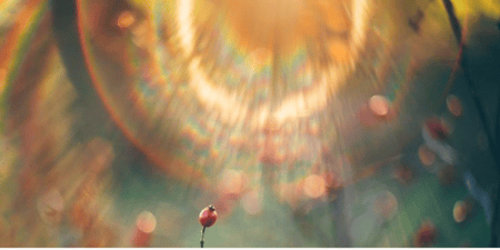 Energy Medicine Level - 1