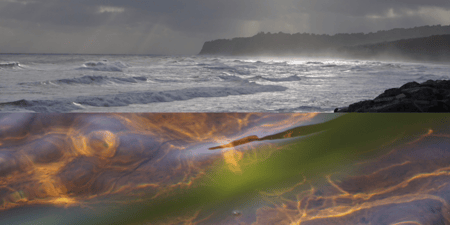 Nature Energetic Counselling