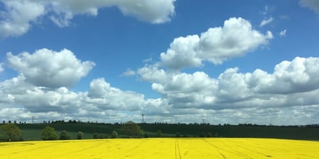 EFT & Matrix Reimprinting Session