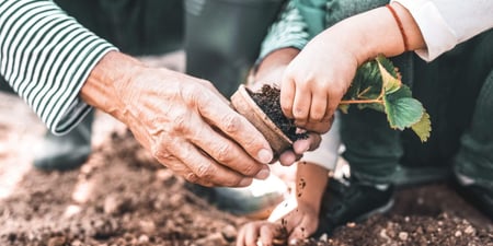 Horticultural Therapy