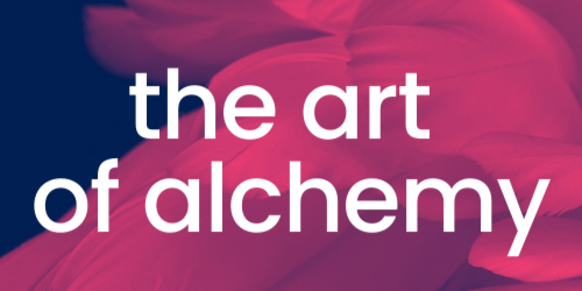 Business, Life and Spiritual Coaching