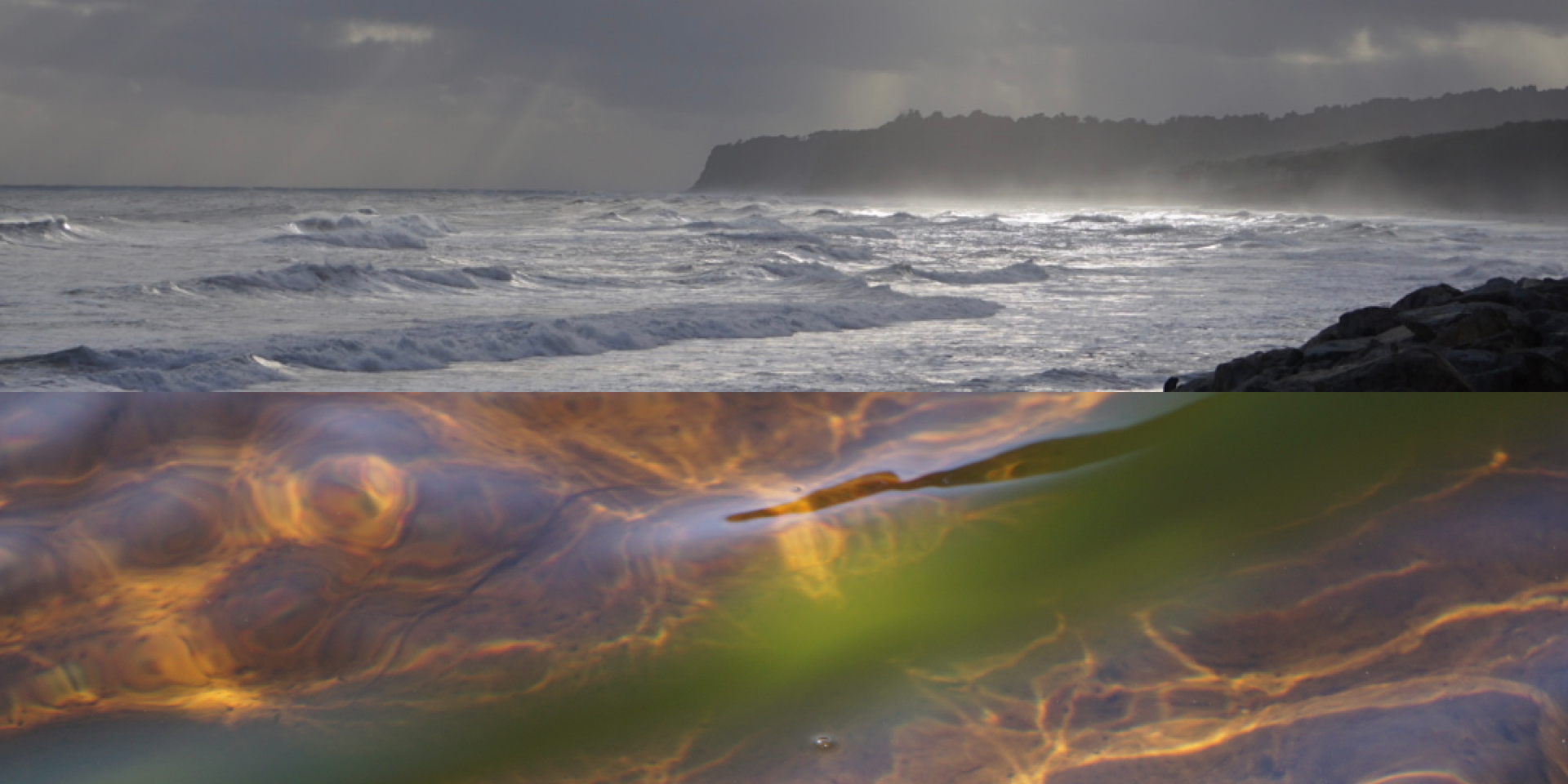 Nature Energetic Counselling